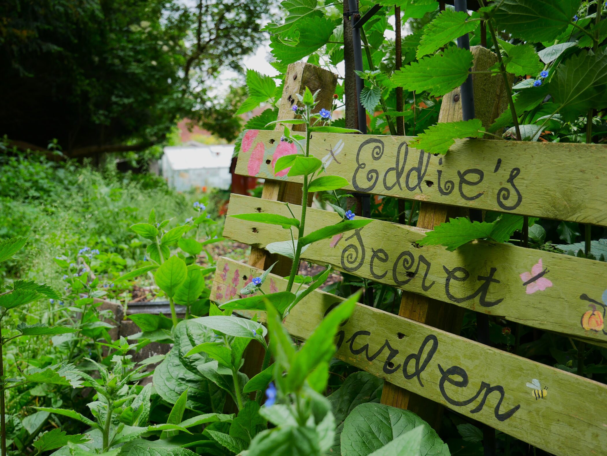 Eddies Secret Garden. Image by Oliver Kingston