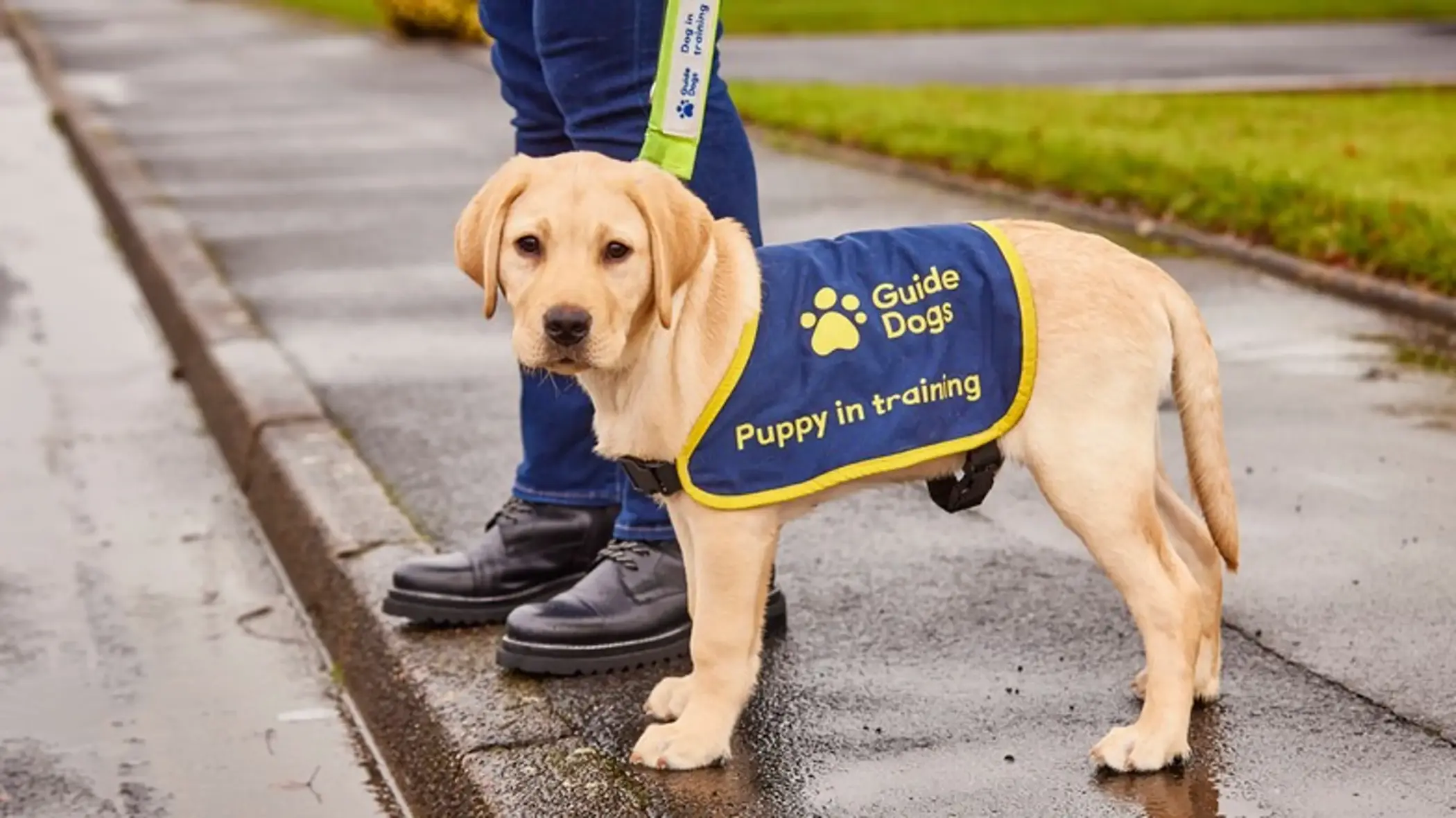 Guide Dogs UK